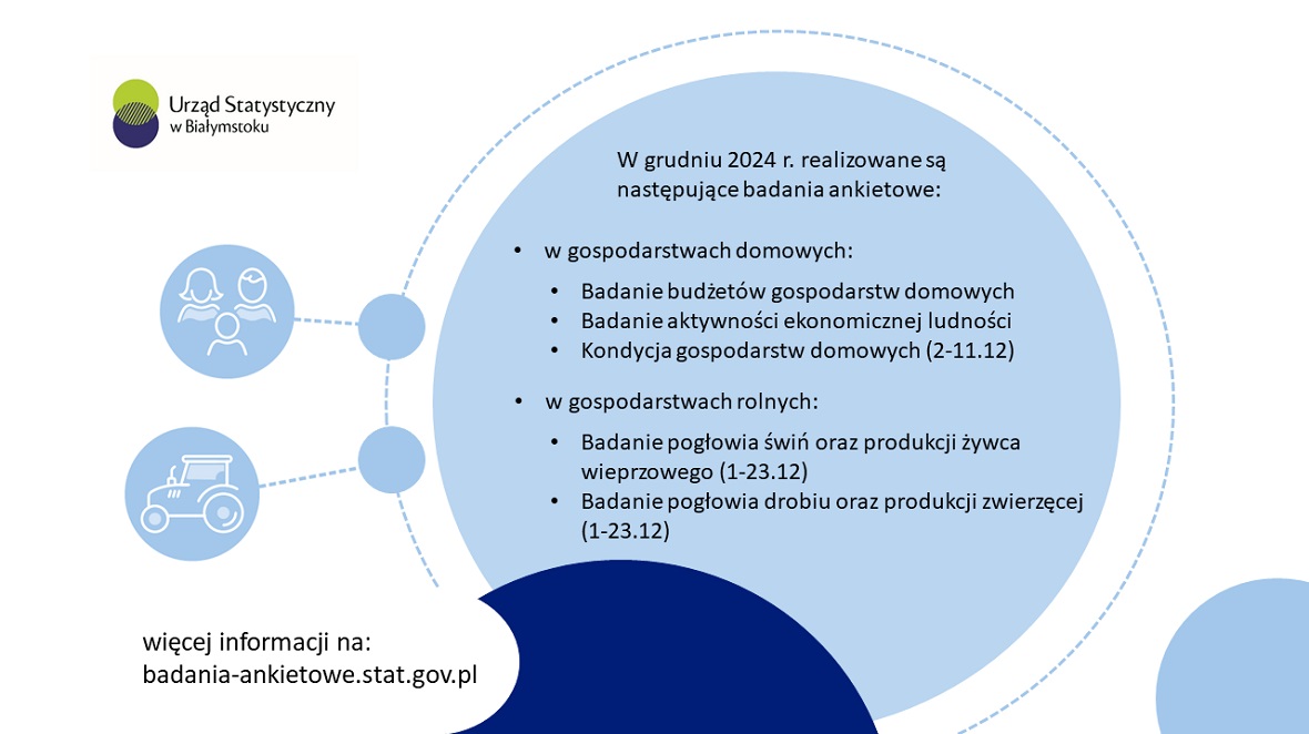 GUS badania statystyczne grudzień 2024