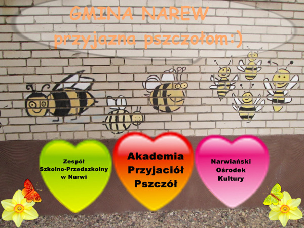 Gmina Narew przyjazna pszczołom